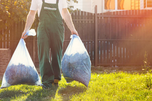 Best Recycling Services for Junk  in Clio, MI